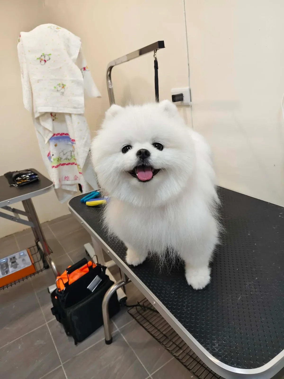 絨毛來洗澡嚕